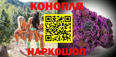 прущие грибы Тулун