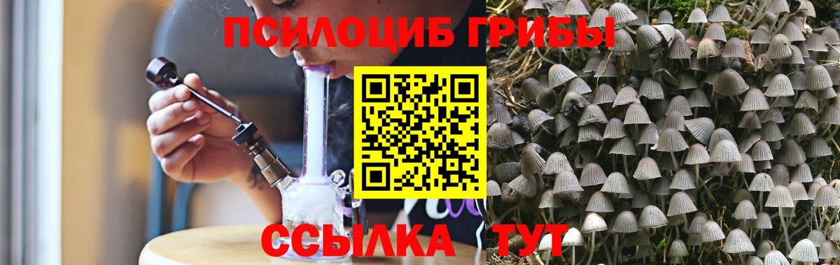Псилоцибиновые грибы Psilocybine cubensis  Вход с VPN  Славгород  Галлюциногенные грибы мухоморы 